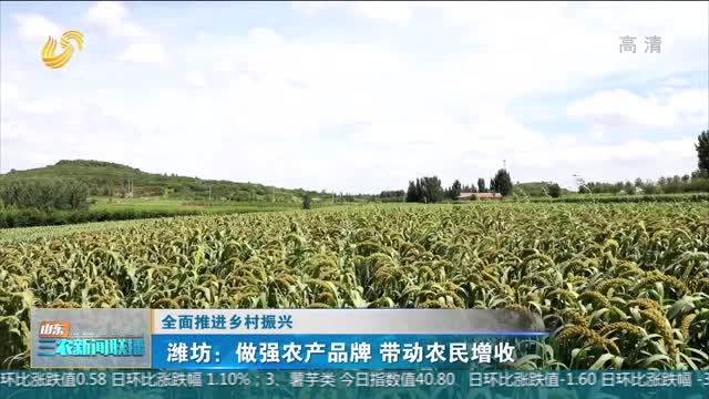 【全面推进乡村振兴】潍坊：做强农产品牌 带动农民增收