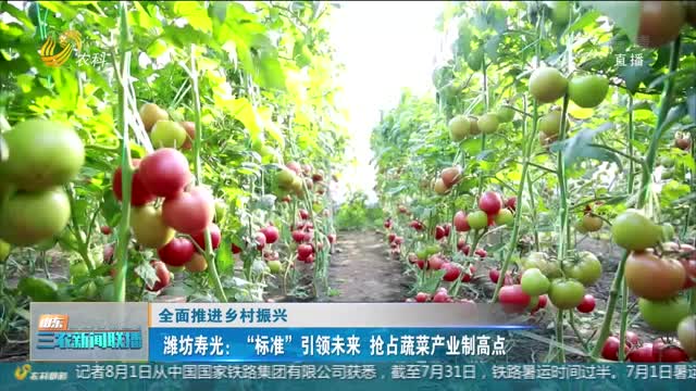 【全面推进乡村振兴】潍坊寿光：“标准”引领未来 抢占蔬菜产业制高点
