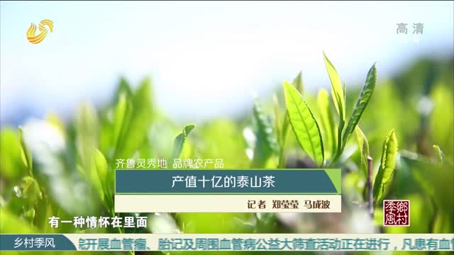 【齐鲁灵秀地 品牌农产品】产值十亿的泰山茶