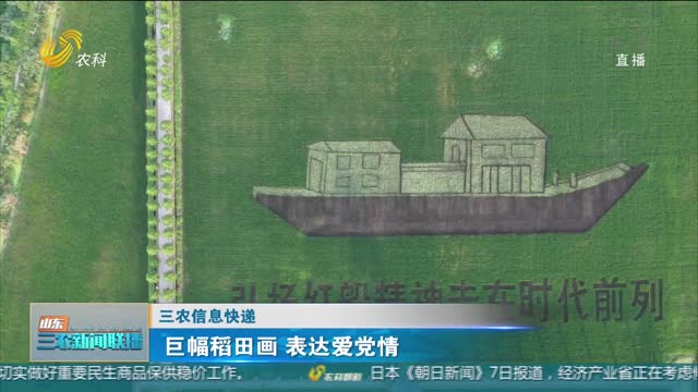 【三农信息快递】巨幅稻田画 表达爱党情
