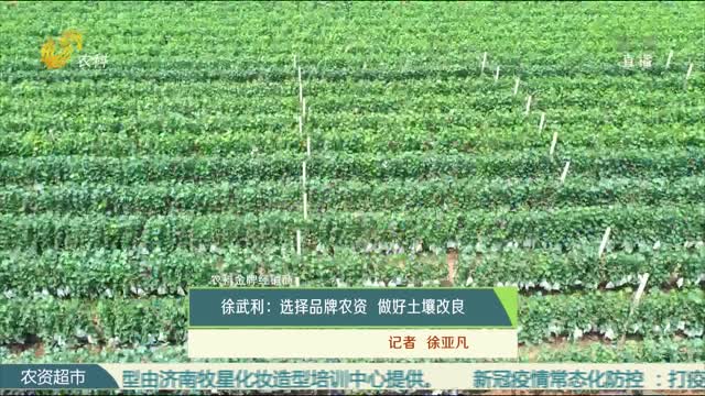 【农科金牌经销商】徐武利：选择品牌农资 做好土壤改良