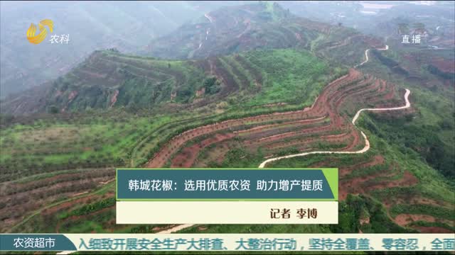 韩城花椒：选用优质农资 助力增产提质