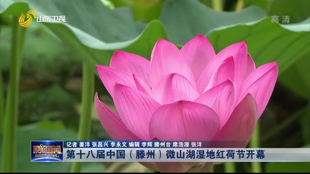 第十八届中国（滕州）微山湖湿地红荷节开幕