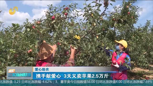 【爱心助农】携手献爱心 3天义卖苹果2.5万斤