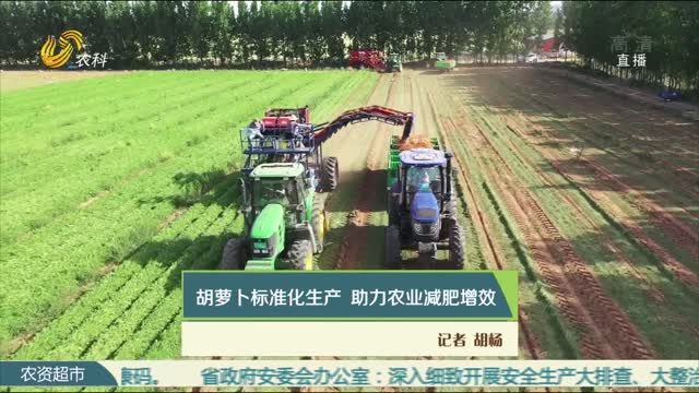胡萝卜标准化生产 助力农业增肥增效