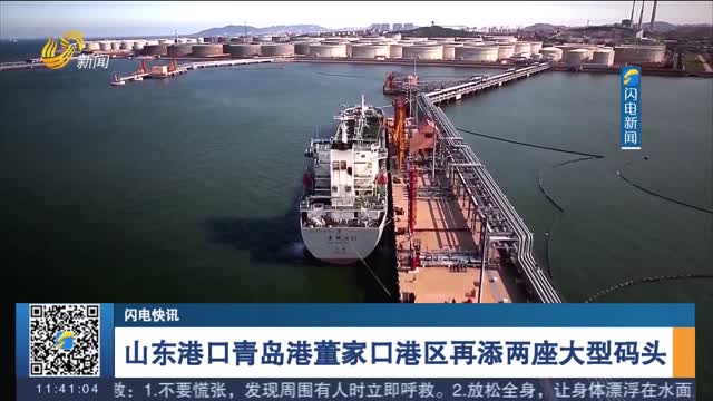 【闪电快讯】山东港口青岛港董家口港区再添两座大型码头