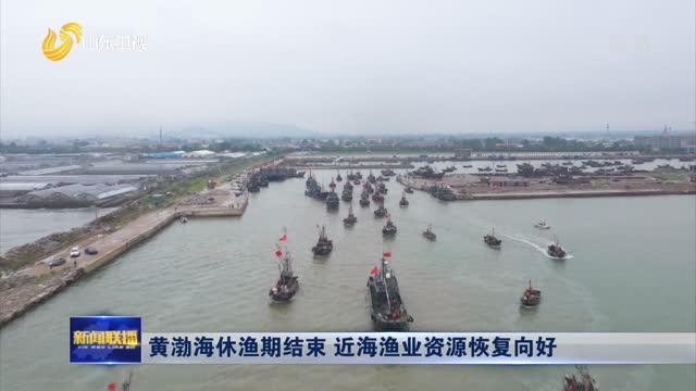 黄渤海休渔期结束 近海渔业资源恢复向好