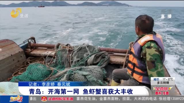 青岛：开海第一网 鱼虾蟹喜获大丰收