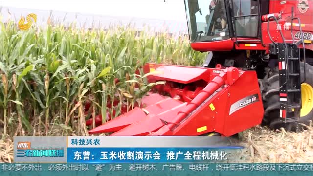 【科技兴农】东营：玉米收割演示会 推广全程机械化