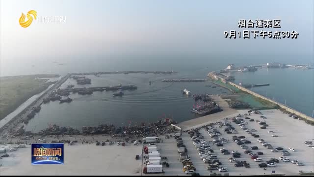 山东：开海第一网 渔民喜获丰收