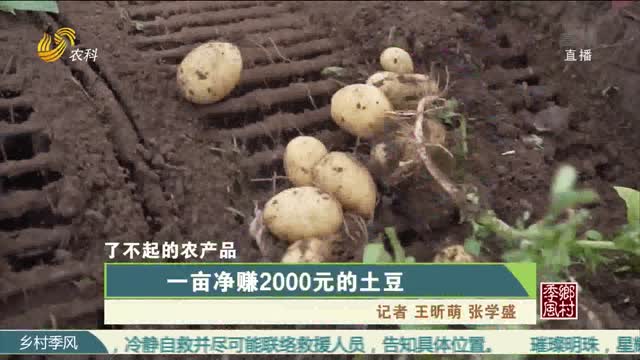 【农大腐植酸《了不起的农产品》（十三）】一亩净赚2000元的土豆