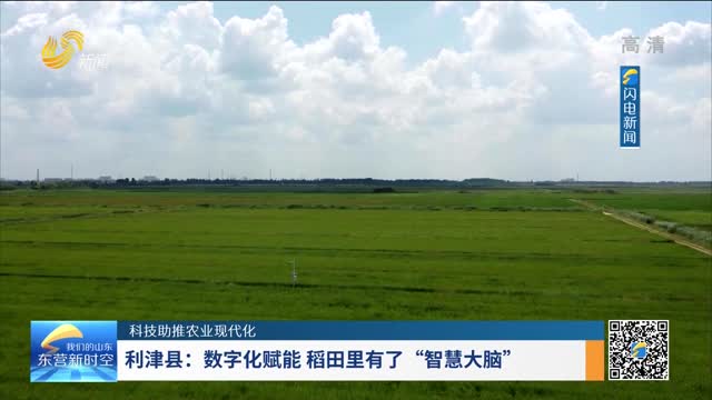 【科技助推农业现代化】利津县：数字化赋能 稻田里有了“智慧大脑”