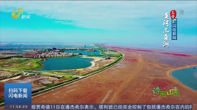 【诗画山东】东营：黄河三角洲再现“红地毯” 景观