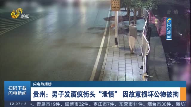 【闪电热播榜】贵州：男子发酒疯街头“泄愤” 因故意损坏公物被拘