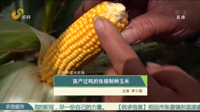 【史丹利·星光农场】亩产过吨的张掖制种玉米