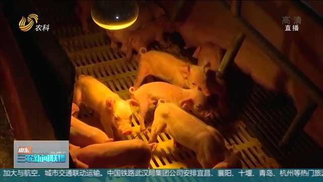 【稳定生猪市场】农业农村部：防止生猪产能大起大落
