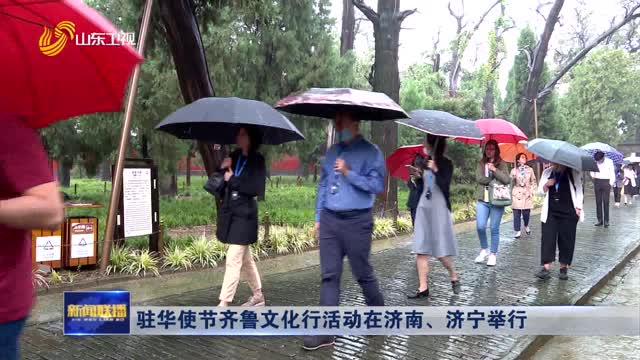 驻华使节齐鲁文化行活动在济南、济宁举行