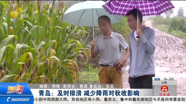 青岛：及时排涝 减少降雨对秋收影响