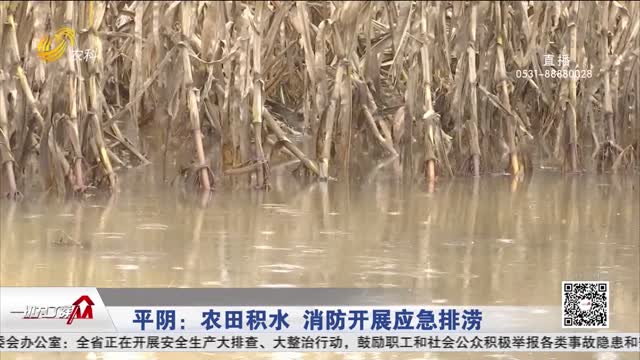 平阴：农田积水 消防开展应急排涝