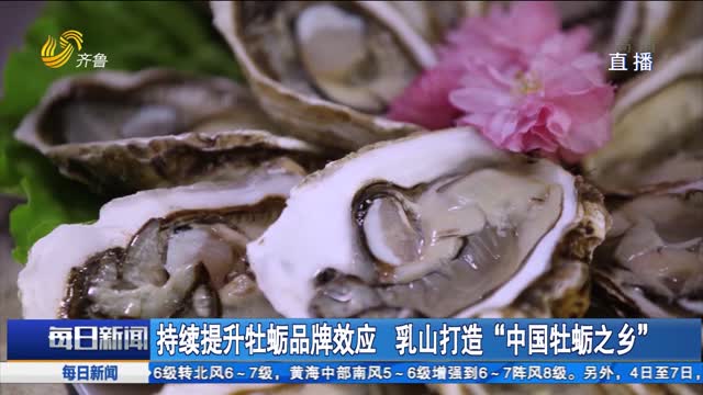 持续提升牡蛎品牌效应 乳山打造“中国牡蛎之乡”