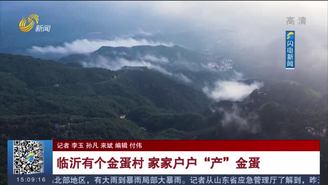 【祖国颂·小康的幸福味道】临沂有个金蛋村 家家户户“产”金蛋
