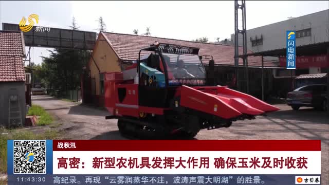 【战秋汛】高密：新型农机具发挥大作用 确保玉米及时收获
