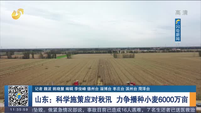 【战秋汛】山东：科学施策应对秋汛 力争播种小麦6000万亩