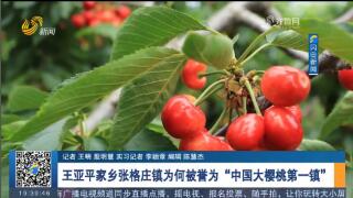 【记者探访】王亚平家乡张格庄镇为何被誉为“中国大樱桃第一镇”
