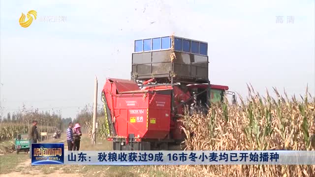 山东：秋粮收获过9成 16市冬小麦均已开始播种