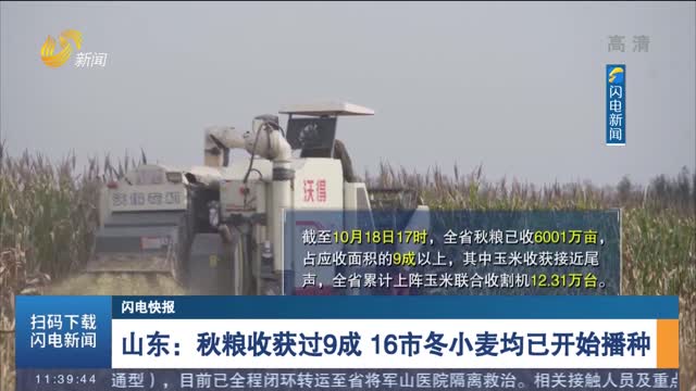【闪电快报】山东：秋粮收获过9成 16市冬小麦均已开始播种