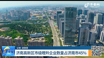 济南高新区市级瞪羚企业数量占济南市45%