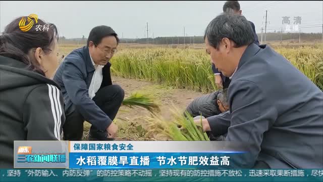 【保障国家粮食安全】水稻覆膜旱直播 节水节肥效益高