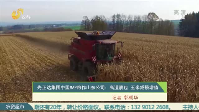 先正达集团中国MAP粮作山东公司：高湿裹包 玉米减损增值