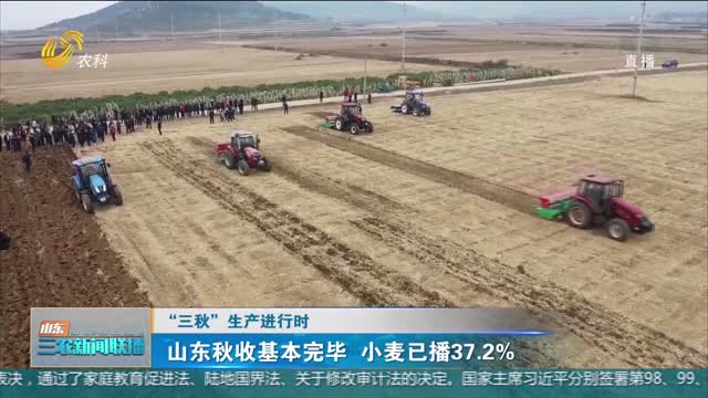 【“三秋”生产进行时】山东秋收基本完毕 小麦已播37.2%