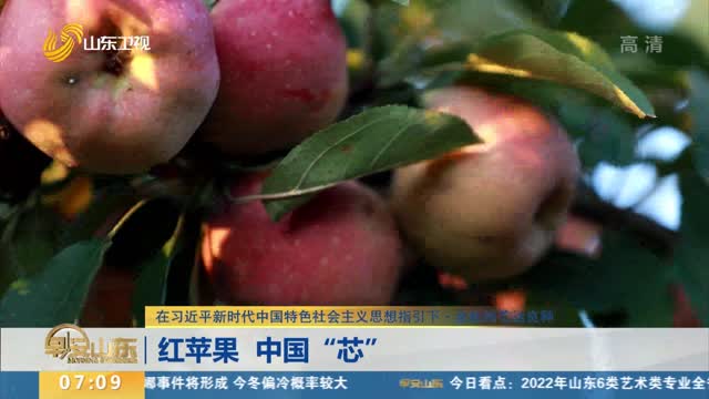 【在习近平新时代中国特色社会主义思想指引下·金秋时节话良种】红苹果 中国“芯”