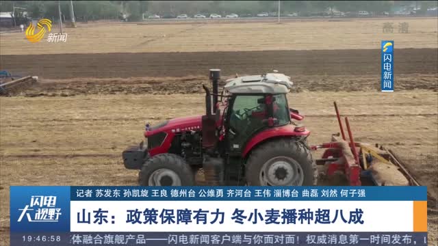 山东：政策保障有力 冬小麦播种超八成