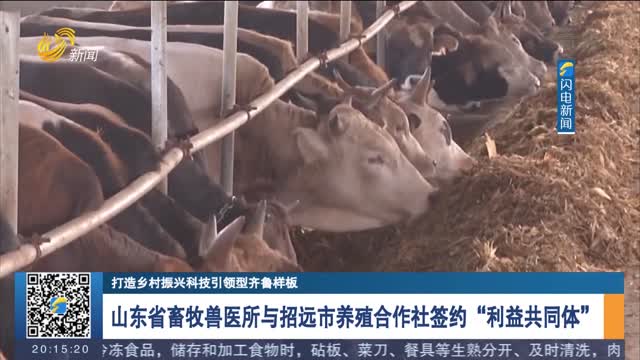 【打造乡村振兴科技引领型齐鲁样板】山东省畜牧兽医所与招远市养殖合作社签约“利益共同体”