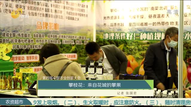 【第四届中国农业创富大会】攀枝花：来自花城的攀果