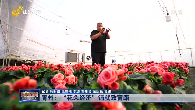 青州：“花朵经济”铺就致富路
