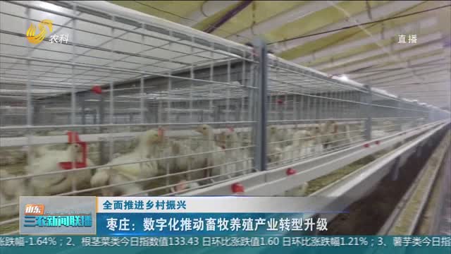 【全面推进乡村振兴】枣庄：数字化推动畜牧养殖产业转型升级