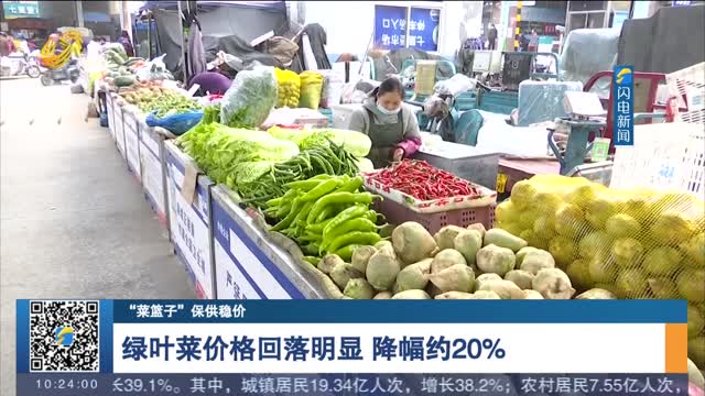 【“菜篮子”保供稳价】绿叶菜价格回落明显 降幅约20%