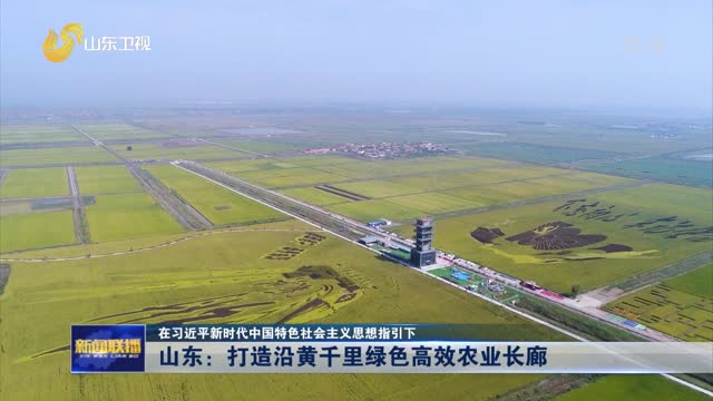 【在习近平新时代中国特色社会主义思想指引下】山东：打造沿黄千里绿色高效农业长廊