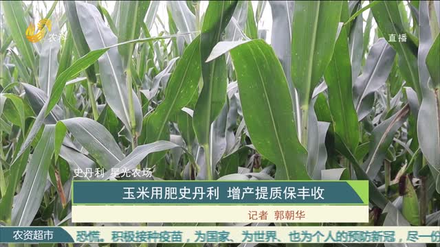 【史丹利 星光農場】玉米用肥史丹利 增產提質保豐收