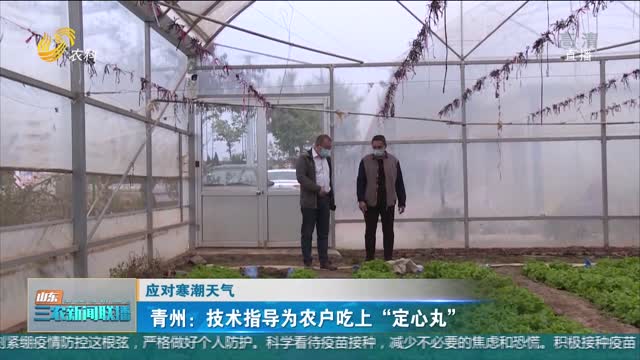 【应对寒潮天气】青州：技术指导为农户吃上“定心丸”