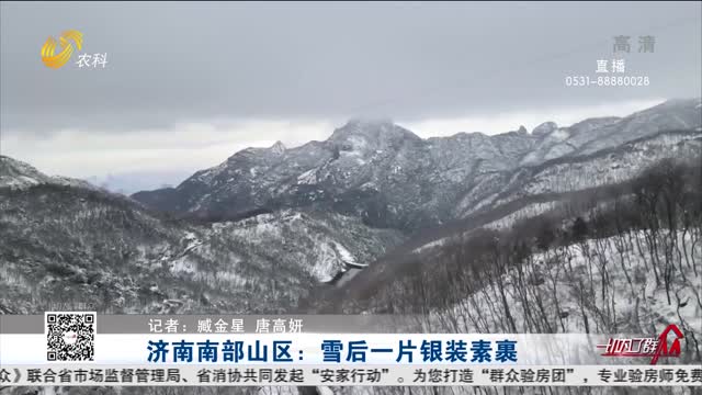 济南南部山区：雪后一片银装素裹