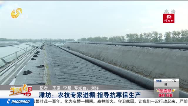 潍坊：农技专家进棚 指导抗寒保生产