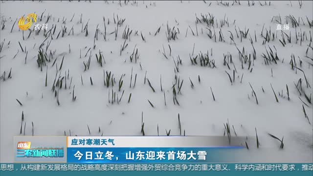 【应对寒潮天气】今日立冬，山东迎来首场大雪