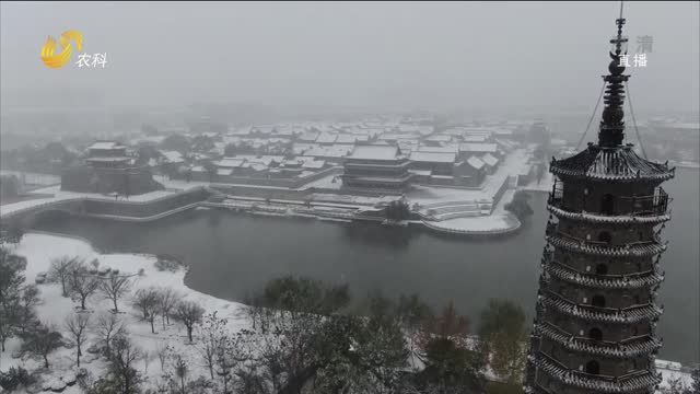 滨州无棣古城雪后美景