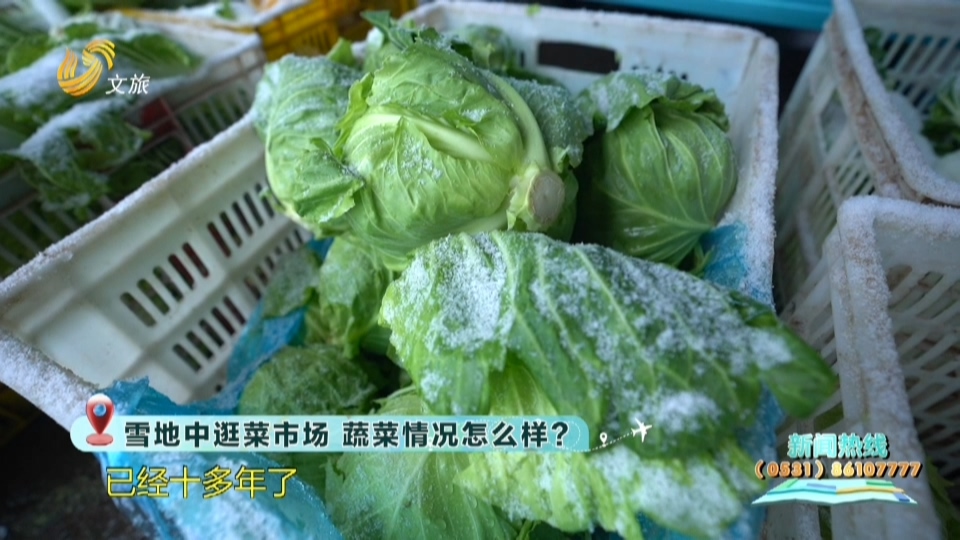 雪地中逛菜市场  蔬菜情况怎么样？
