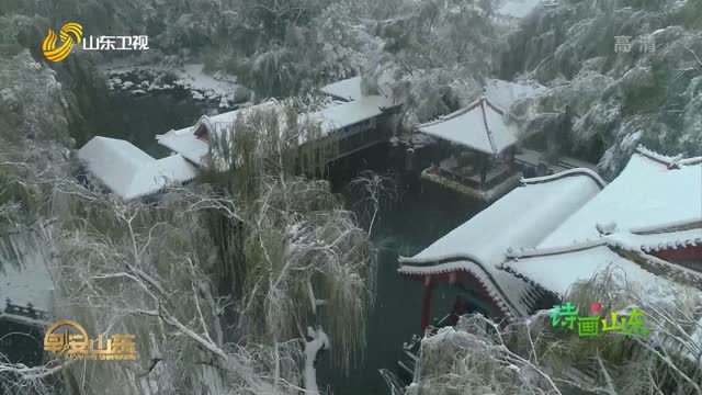 【诗画山东】当雪花遇见涌泉 济南的冬天美成了一首诗